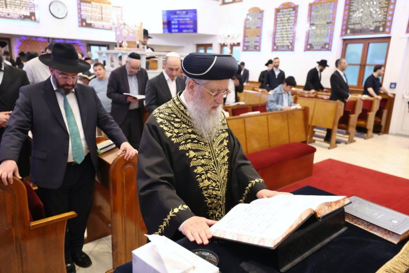 יעקב כהן