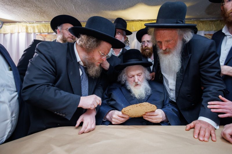 דניאל נפוסי