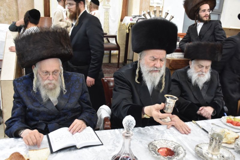 יהודה פרקוביץ