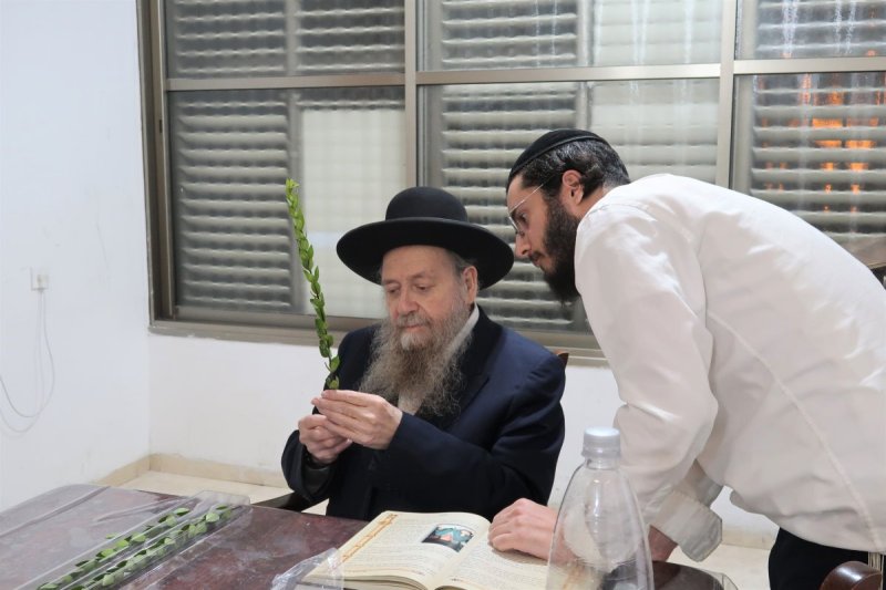 י. פריד