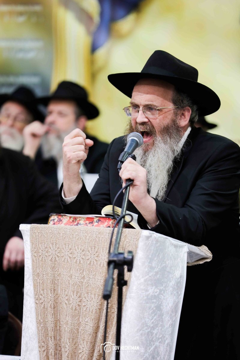 דוב בער הכטמן