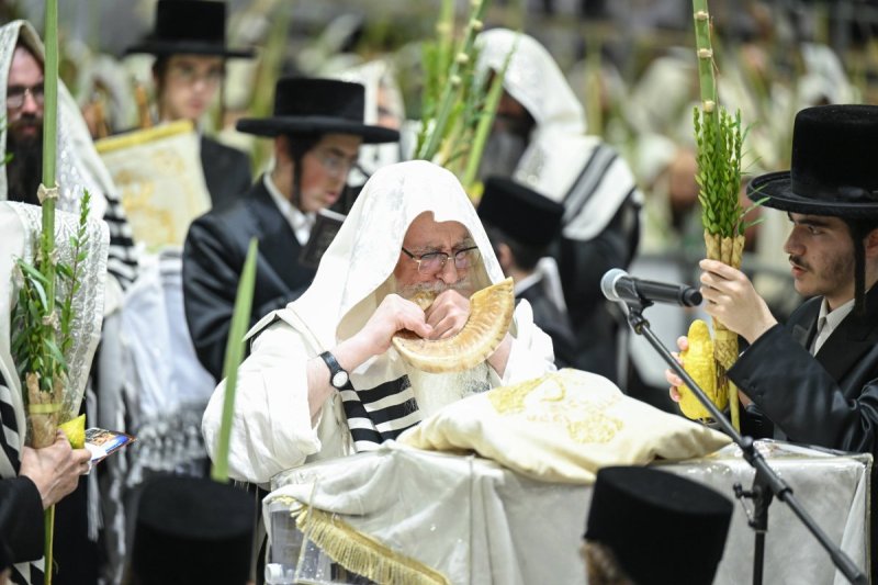משה גולדשטיין