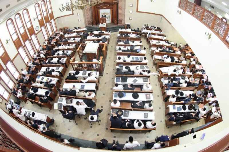 שלומי טריכטר