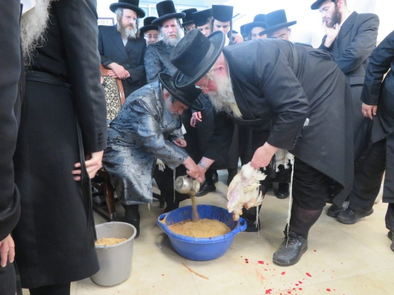 באדיבות המצלם