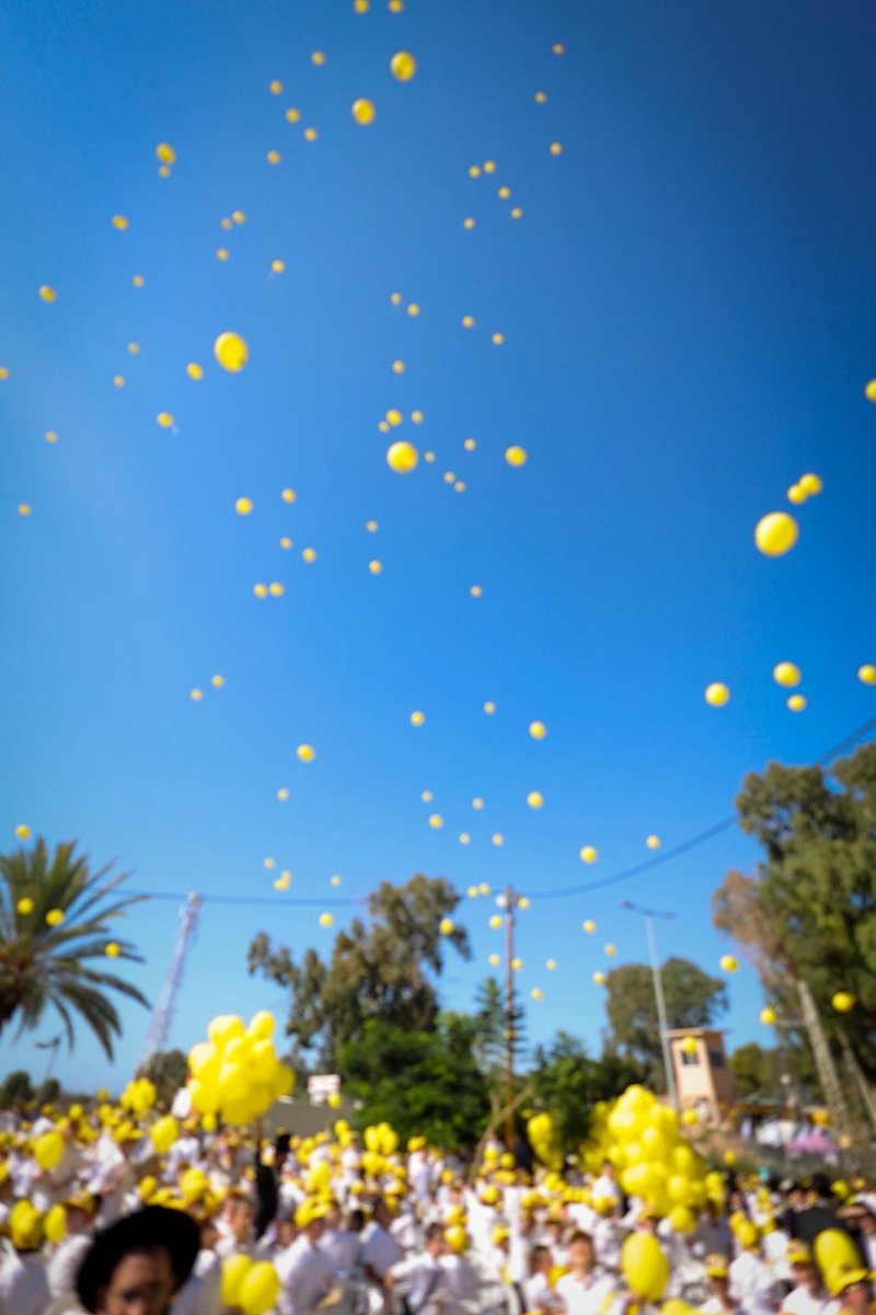 דניאל נפוסי