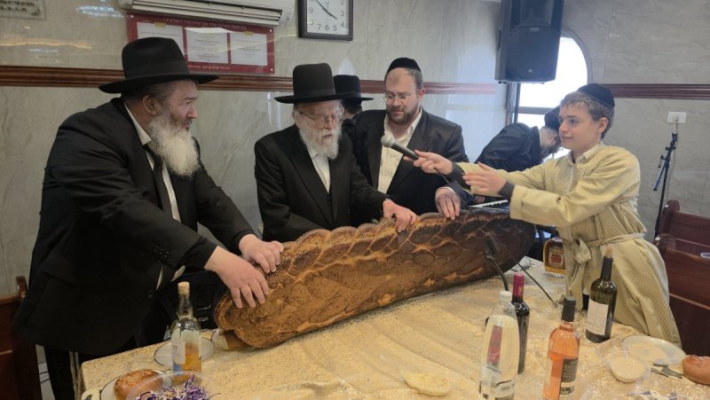 באדיבות המצלם