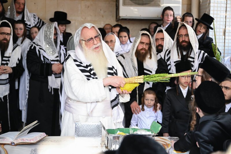 משה גולדשטיין