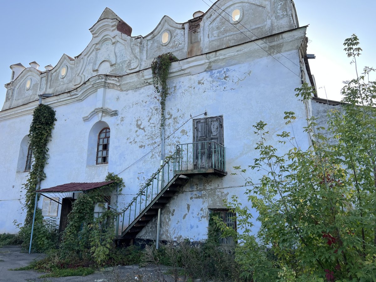 ויטלי קמוזין