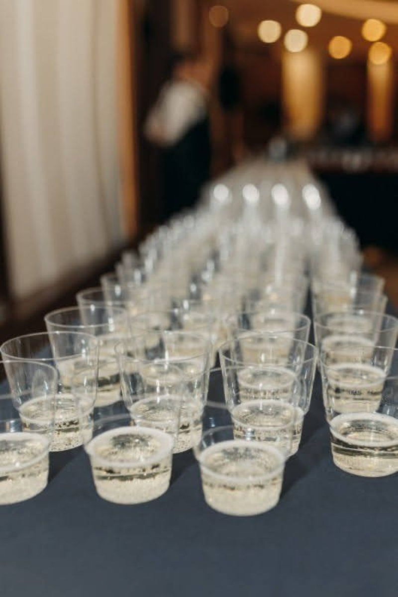 אליסא גורנובקא