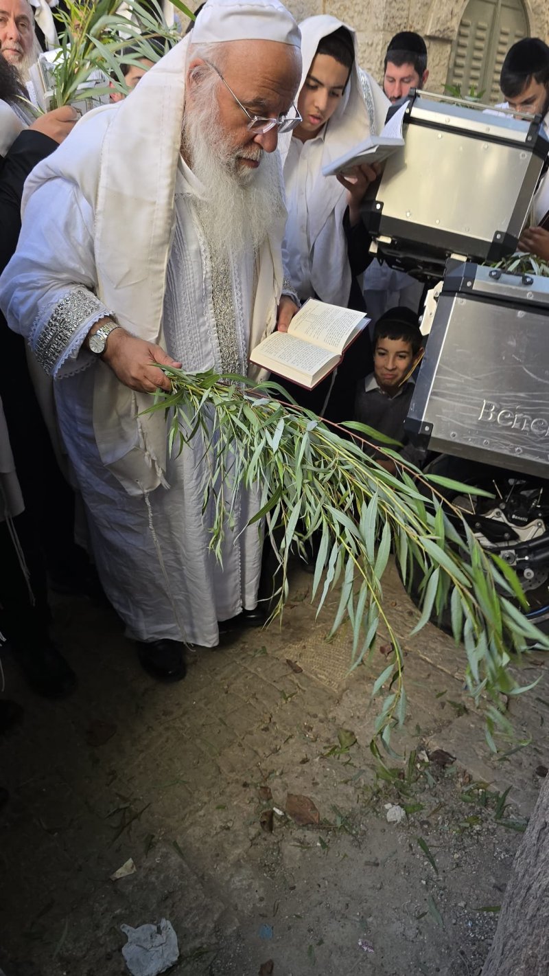 שלומי טריכטר ומ.פ