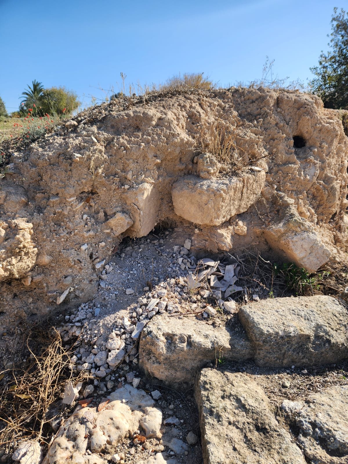 דניאל הייטנר ריכטמן, רט"ג