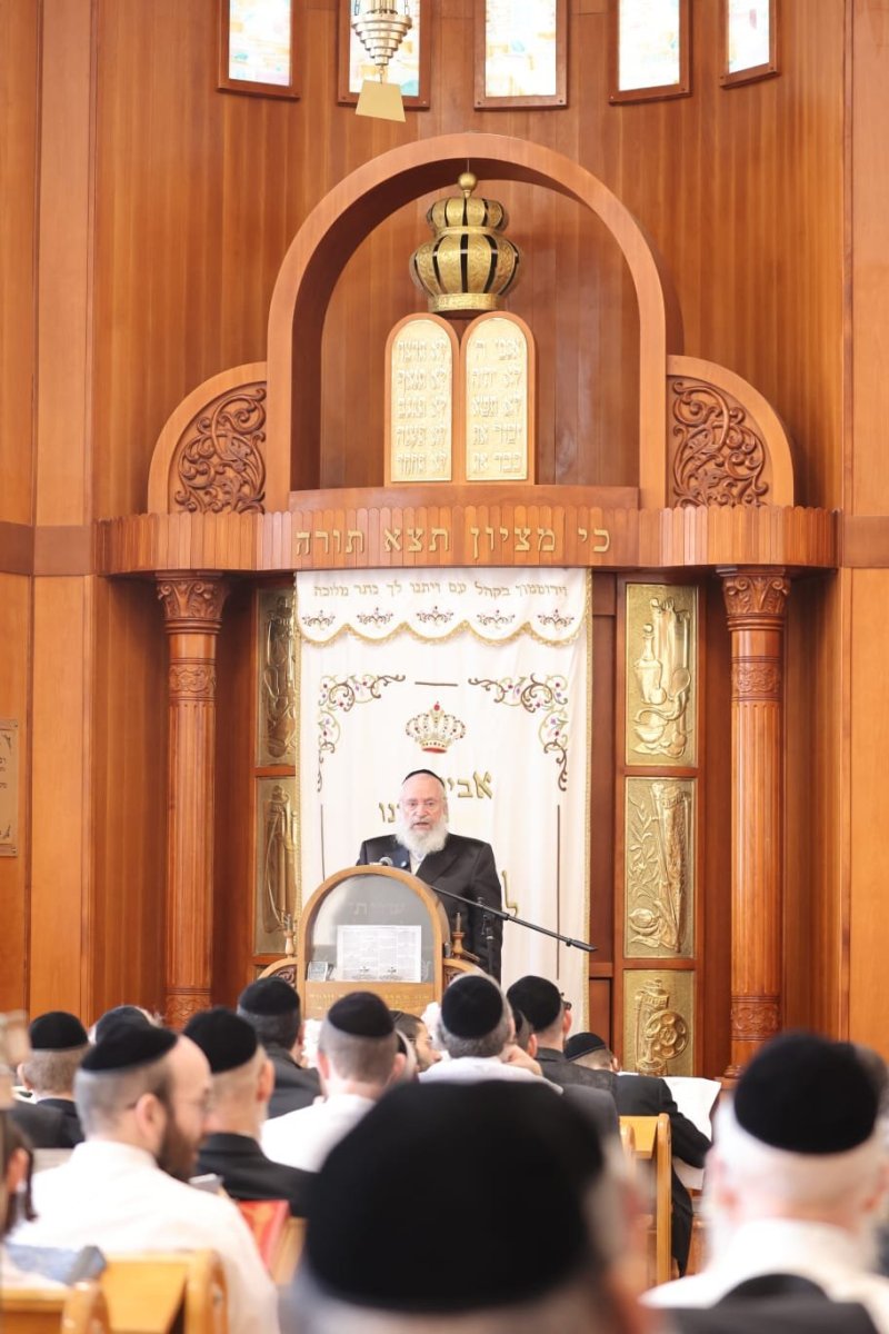 שלומי טריכטר