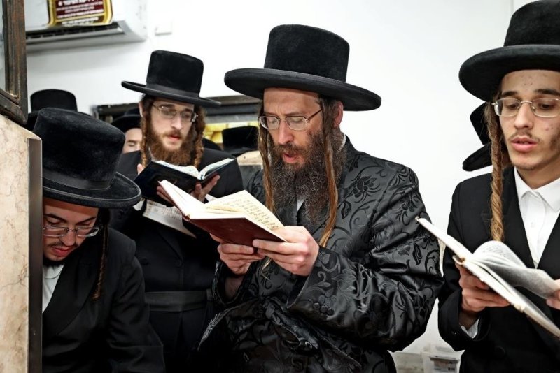 יהושע פרוכטר