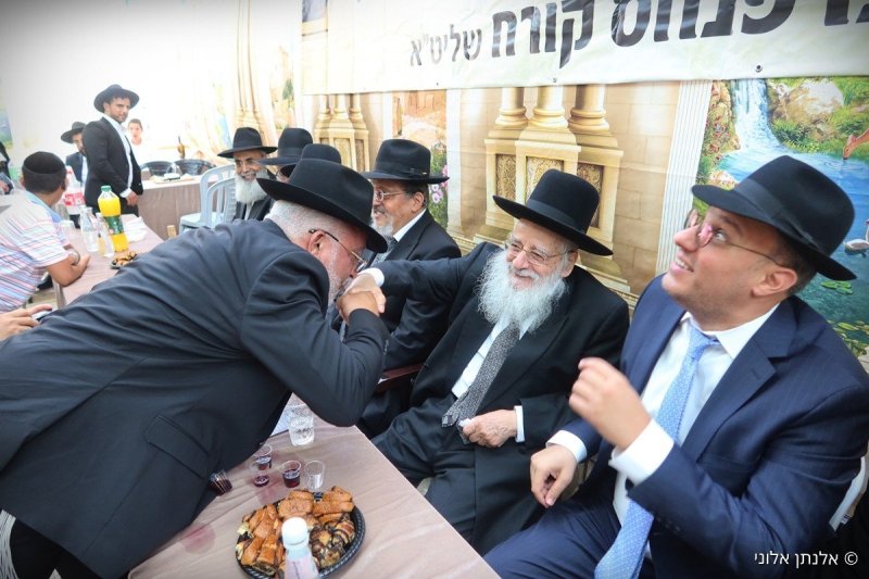 אלנתן אלוני