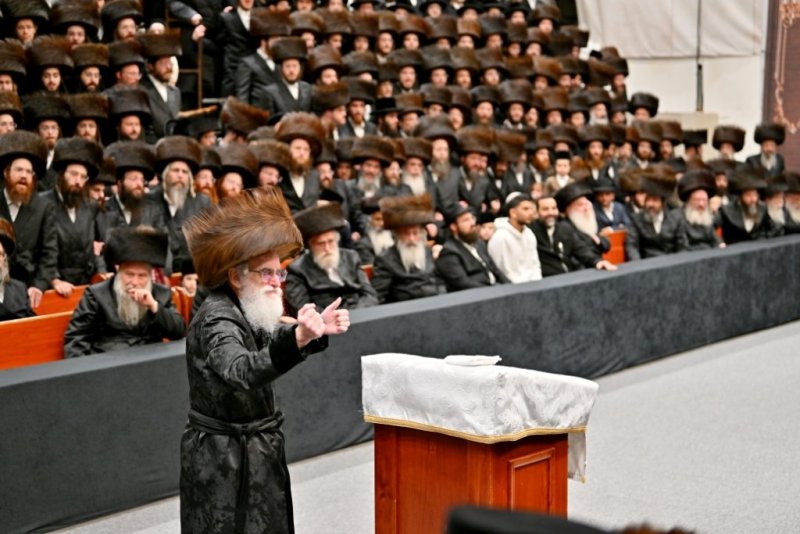 יהושע פרוכטר