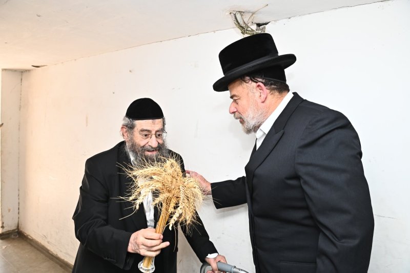 שוקי לרר