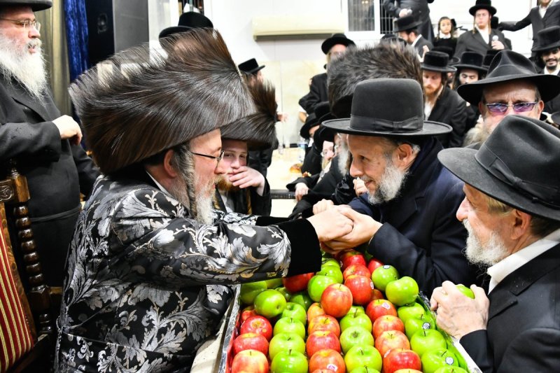 שוקי לרר