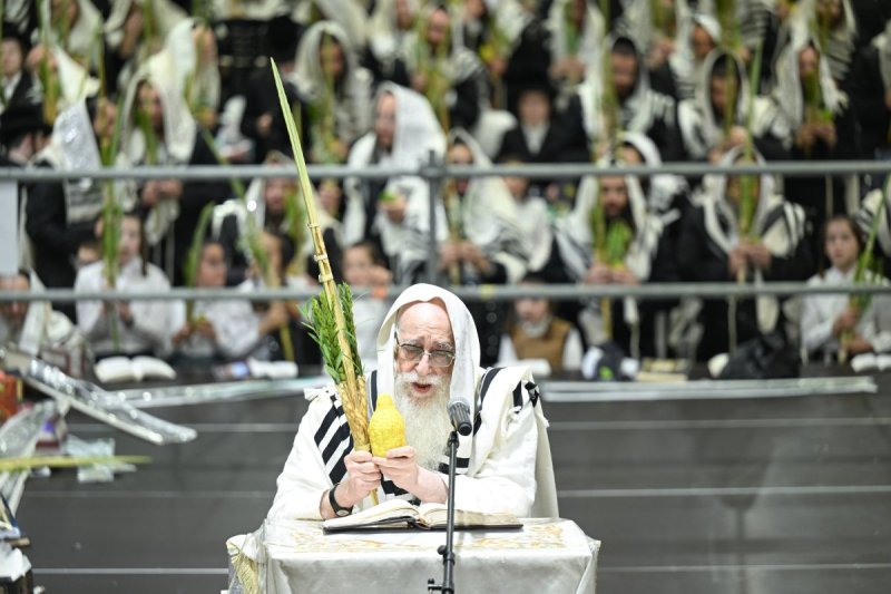 משה גולדשטיין