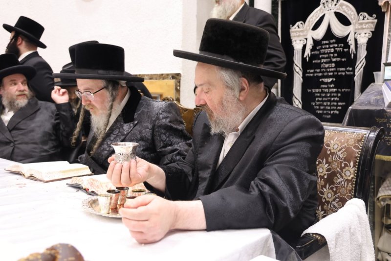 נתי אמרגי