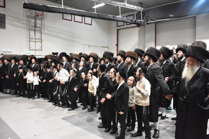 יהודה פרקוביץ