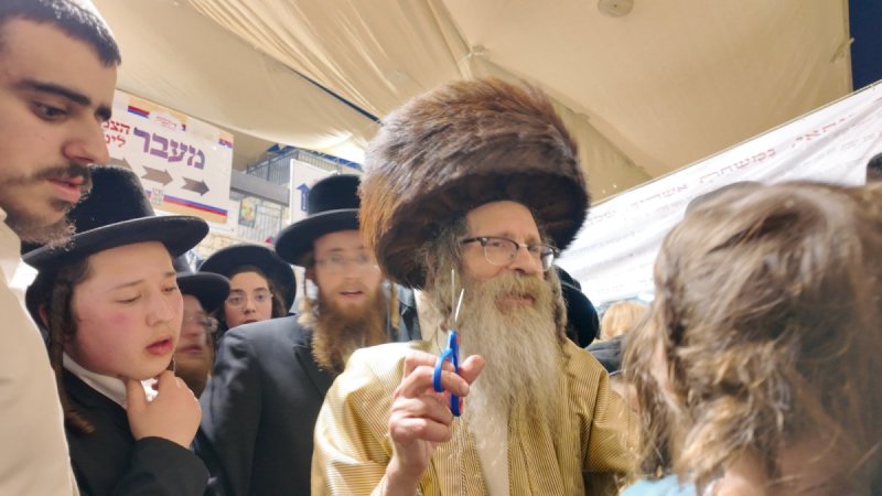 דוד כהן