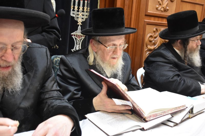 יהודה פרקוביץ