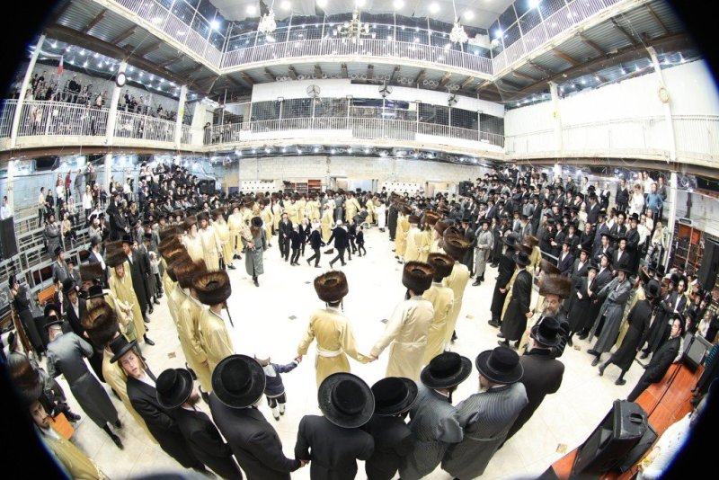 שלומי טריכטר