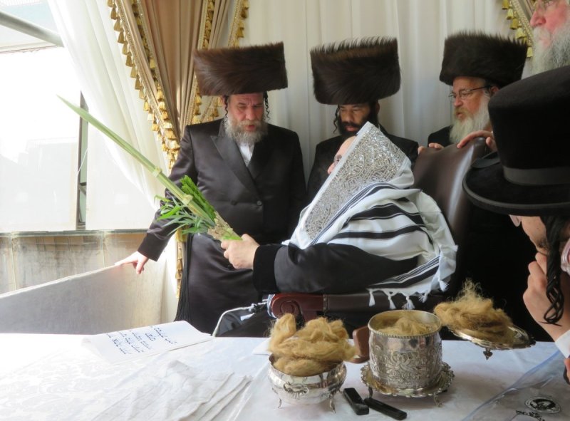 שוקי לרר