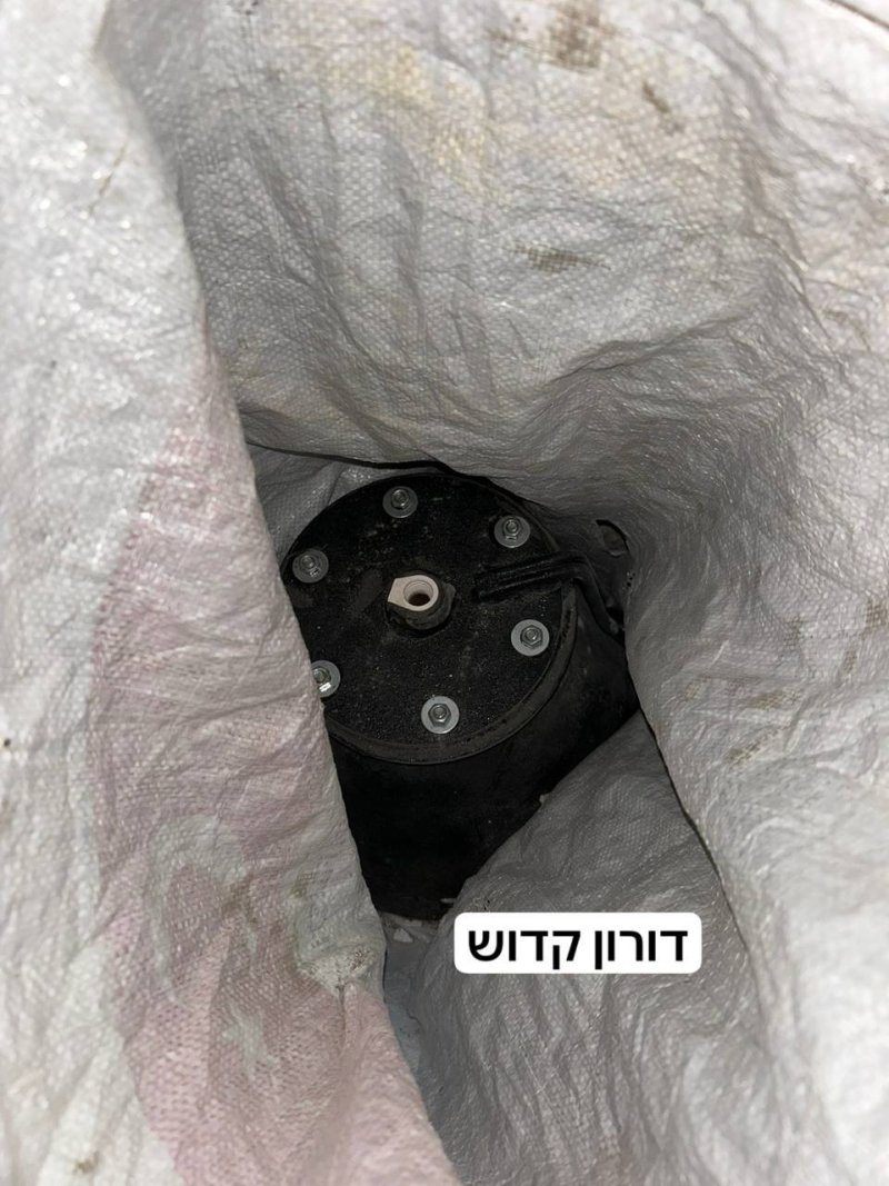 דורון קדוש