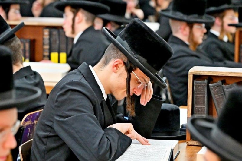 יהושע פרוכטר
