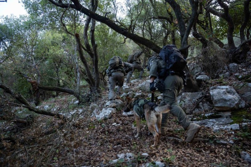 דובר צה"ל