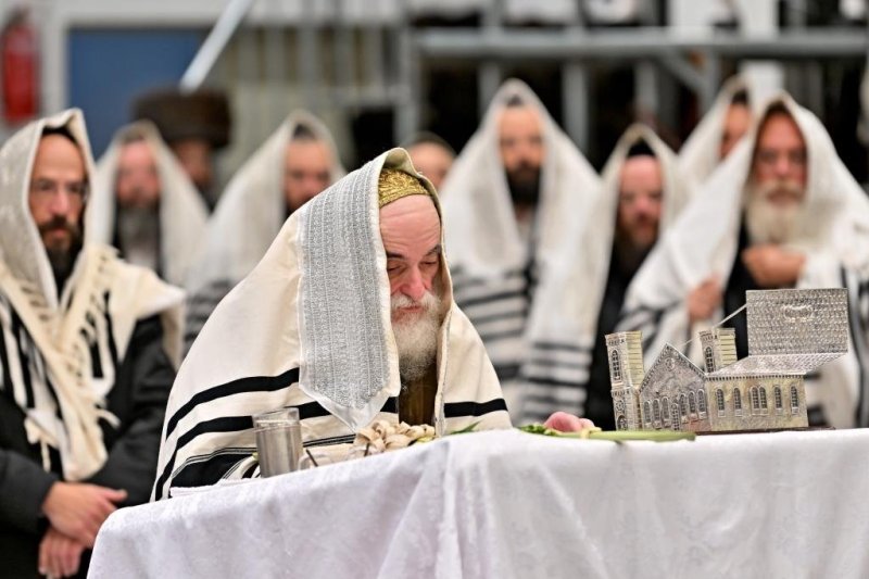 יהושע פרוכטר