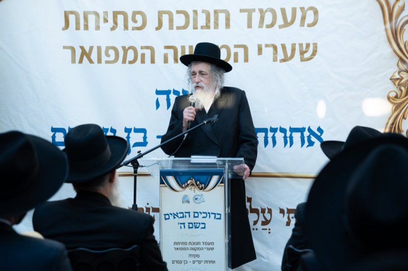 שמואל אריה