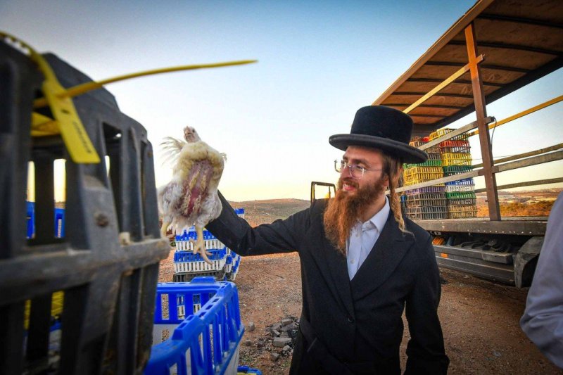 ארי קופרשטוק