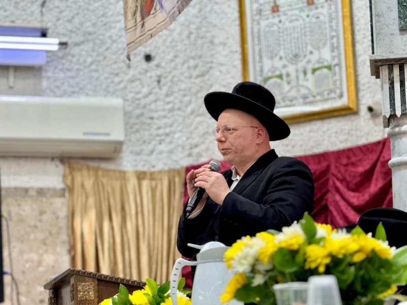 נועם אליהו