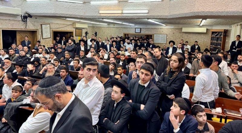 נועם אליהו