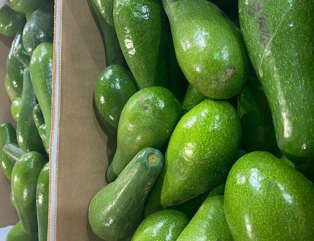 משרד החקלאות