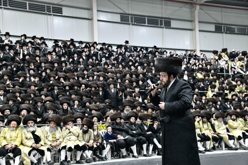 שוקי לרר