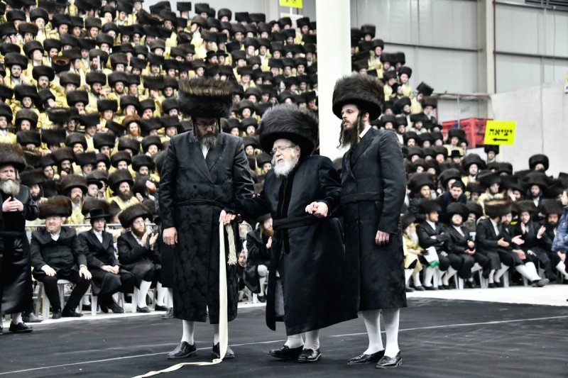 שוקי לרר