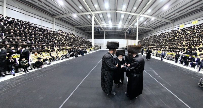 שוקי לרר
