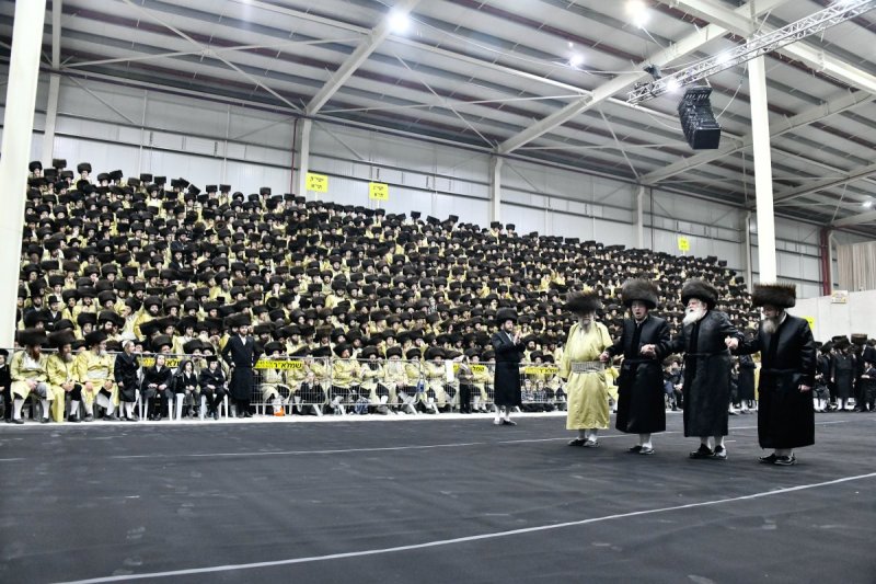 שוקי לרר