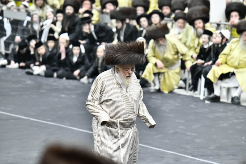 שוקי לרר