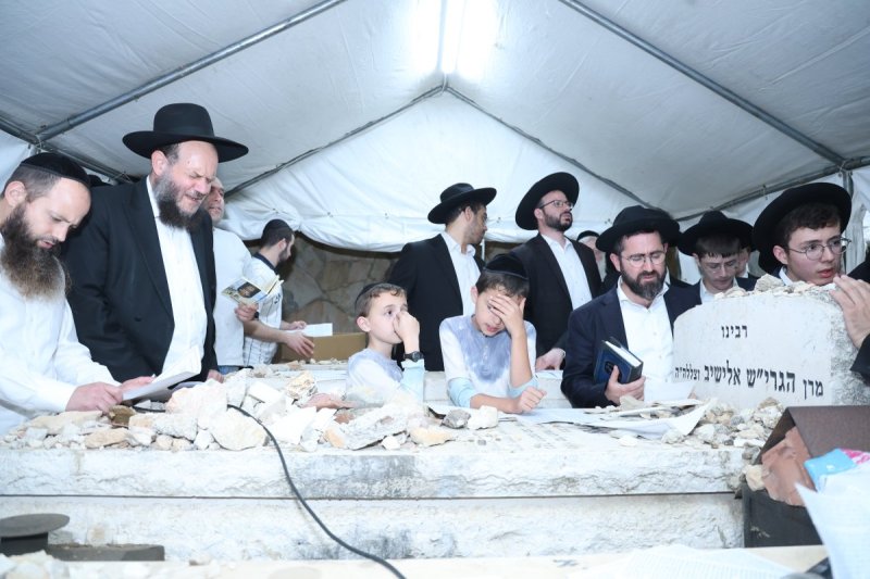 שלומי טריכטר