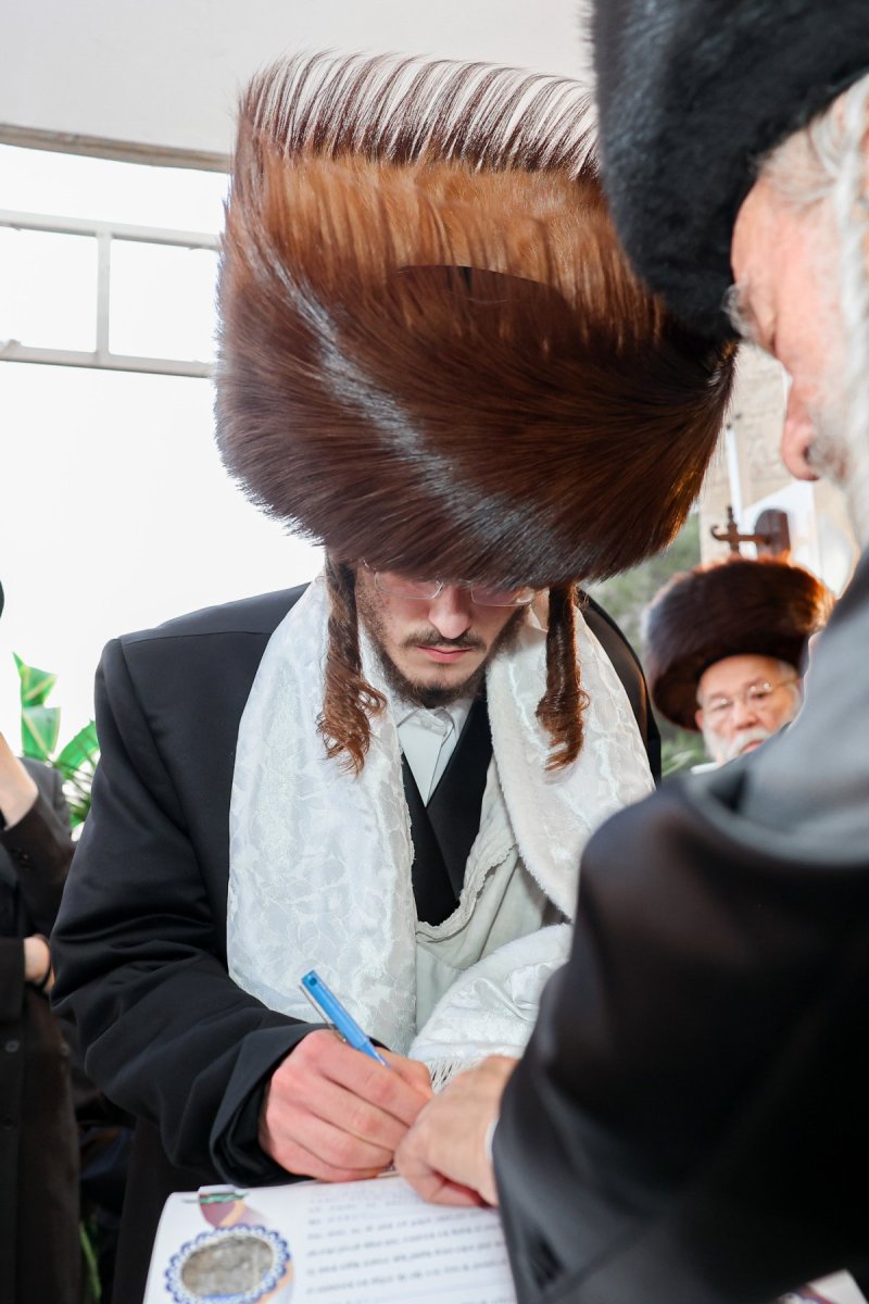 א. אייזנבאך