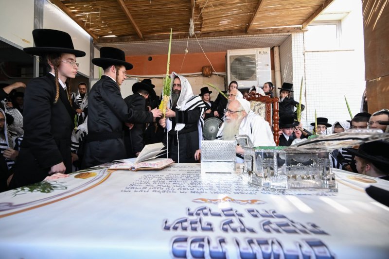 משה גולדשטיין