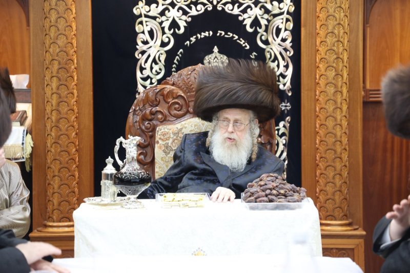 שלומי טריכטר