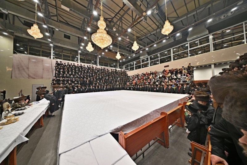 יהושע פרוכטר