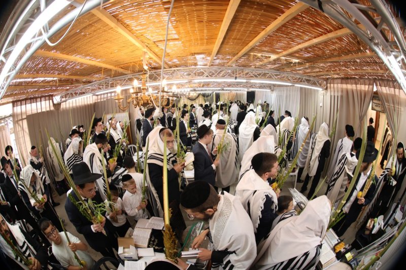 דוד ארזני