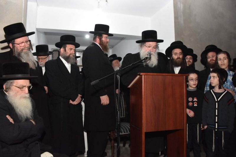 יהודה פרקוביץ