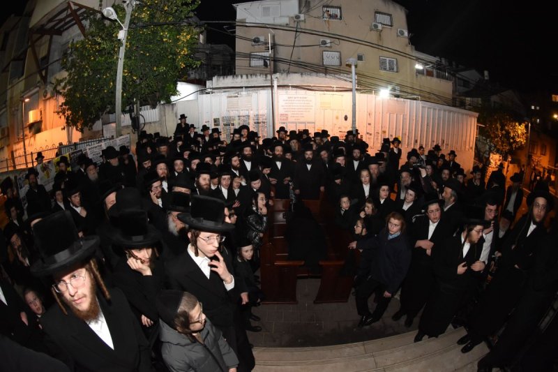 יהודה פרקוביץ